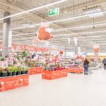 Asortyment Asortyment hipermarketu Auchan w M1 Marki